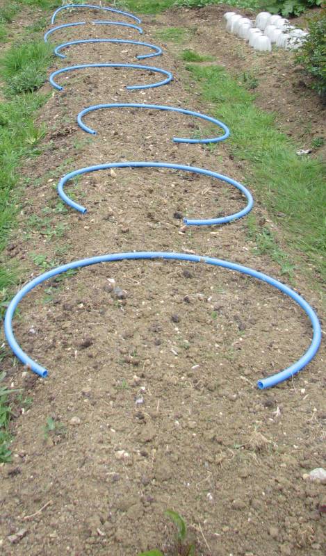 Brassica Netting - Pipe Cut into Section