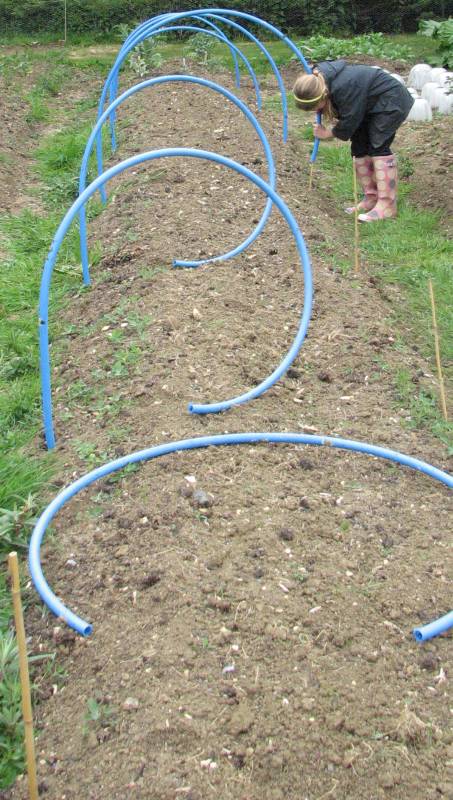 Brassica Netting - Pipe Pushed on to Canes